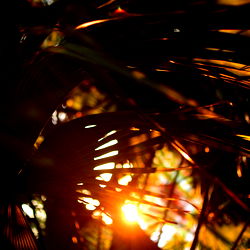 S3T_the.photographer photo