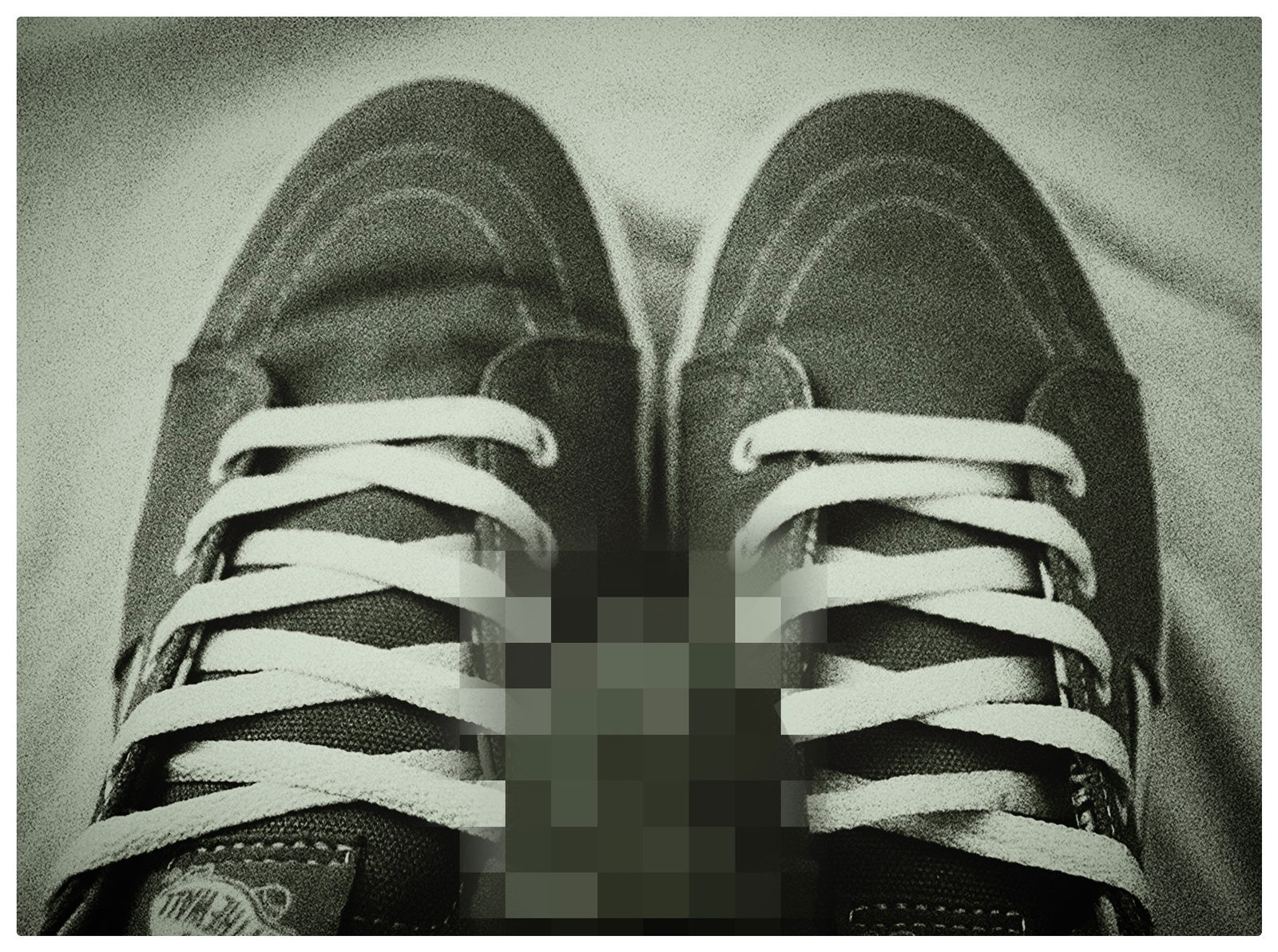 Phallus Focus Free photo