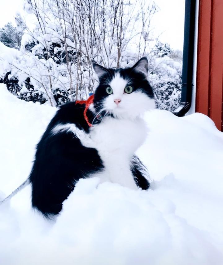 AHAHAHTERROR_EXCLUSIVE photo