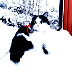 AHAHAHTERROR_EXCLUSIVE photo