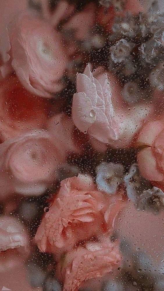 Cosmic🍰💫 photo