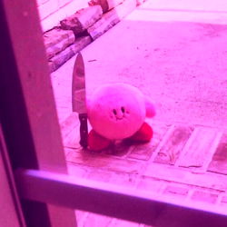 Babi Gordita Model in a Room