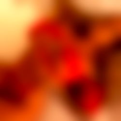 MICHAELA ISIZZU photo