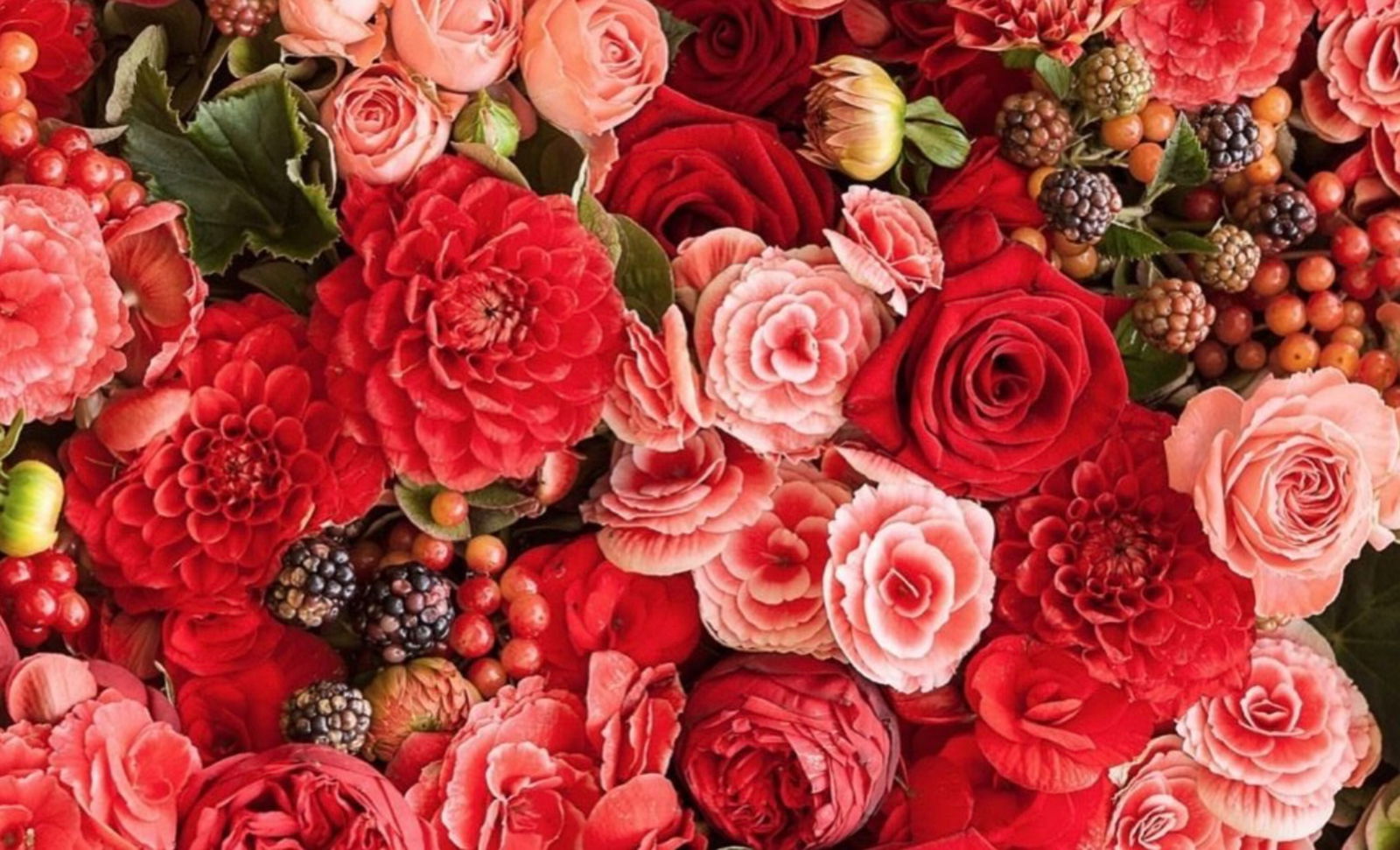 Katita Jewel Novak photo