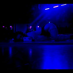 Pixie 🧚‍♀️ photo