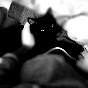 Jane โค๏ธ photo