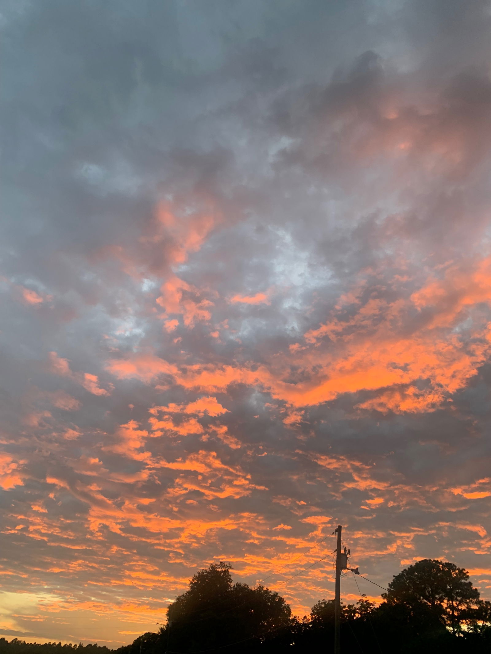 RedRideHer😎 photo