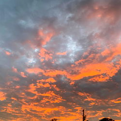 RedRideHer😎 photo