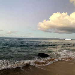 Zaddy on a serene beach