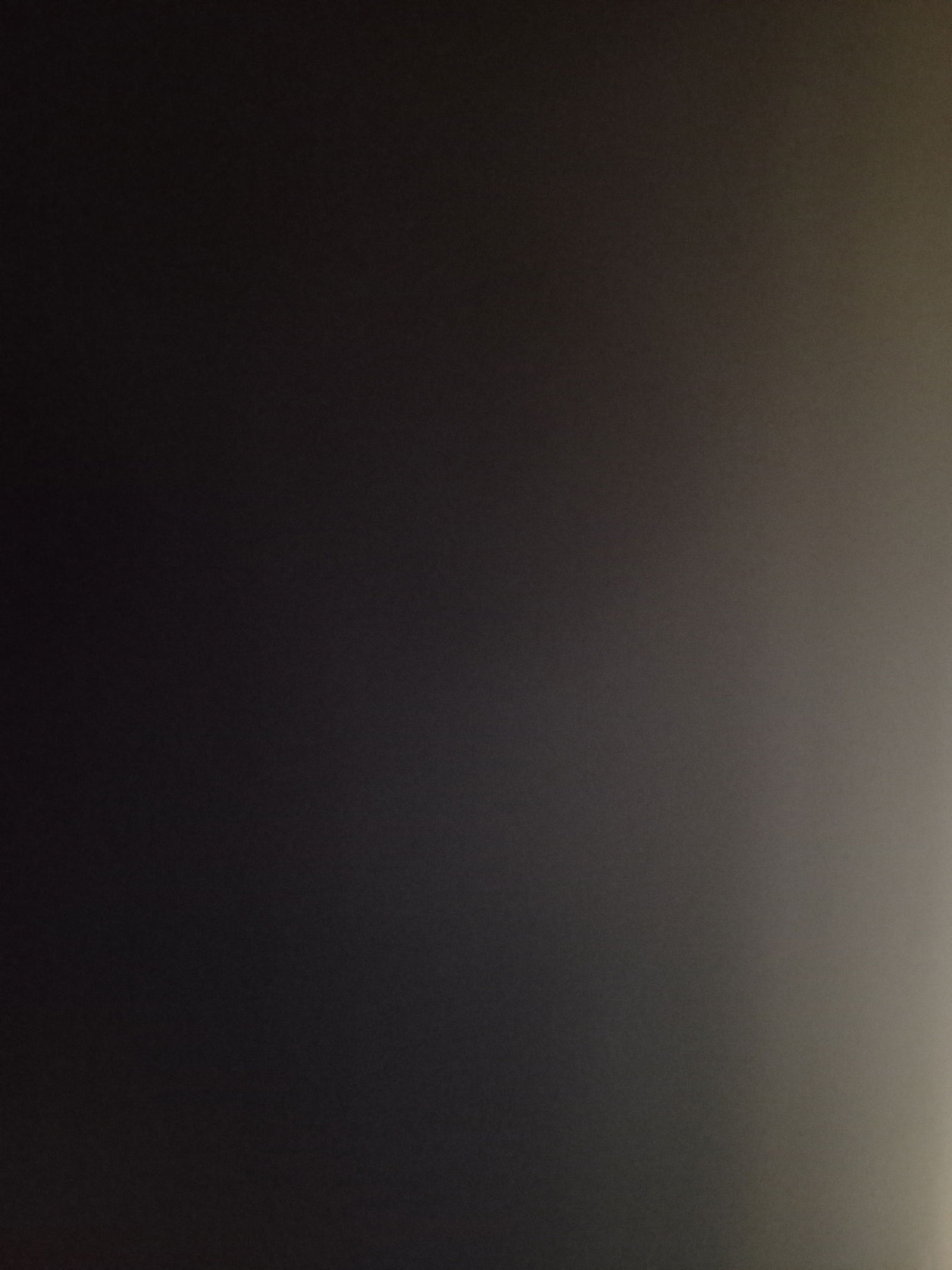 Valentina Del Monte photo