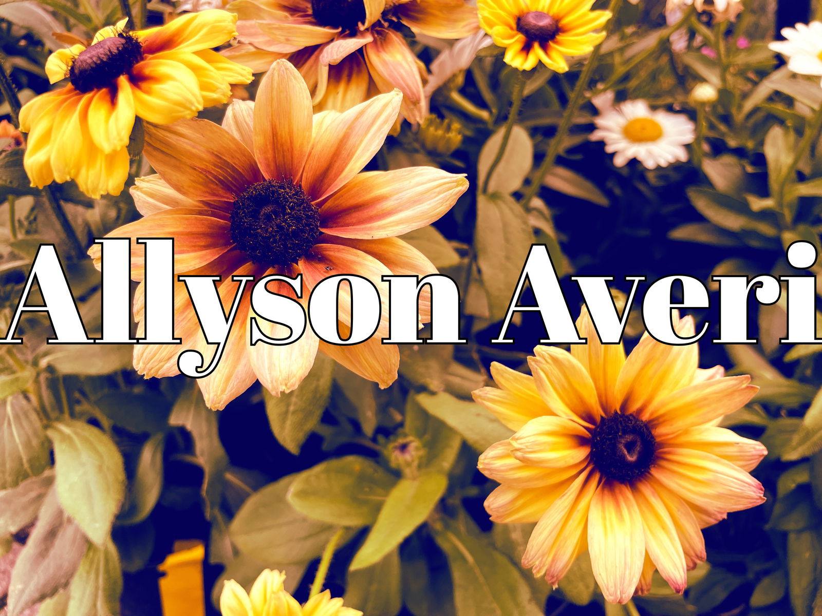 𝔸𝕝𝕝𝕪𝕤𝕠𝕟 𝔸𝕧𝕖𝕣𝕚 🥰 photo