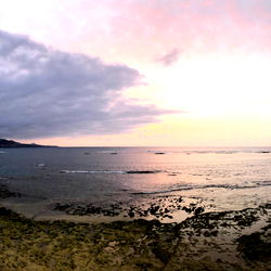 The Dreamfeet Boys photo