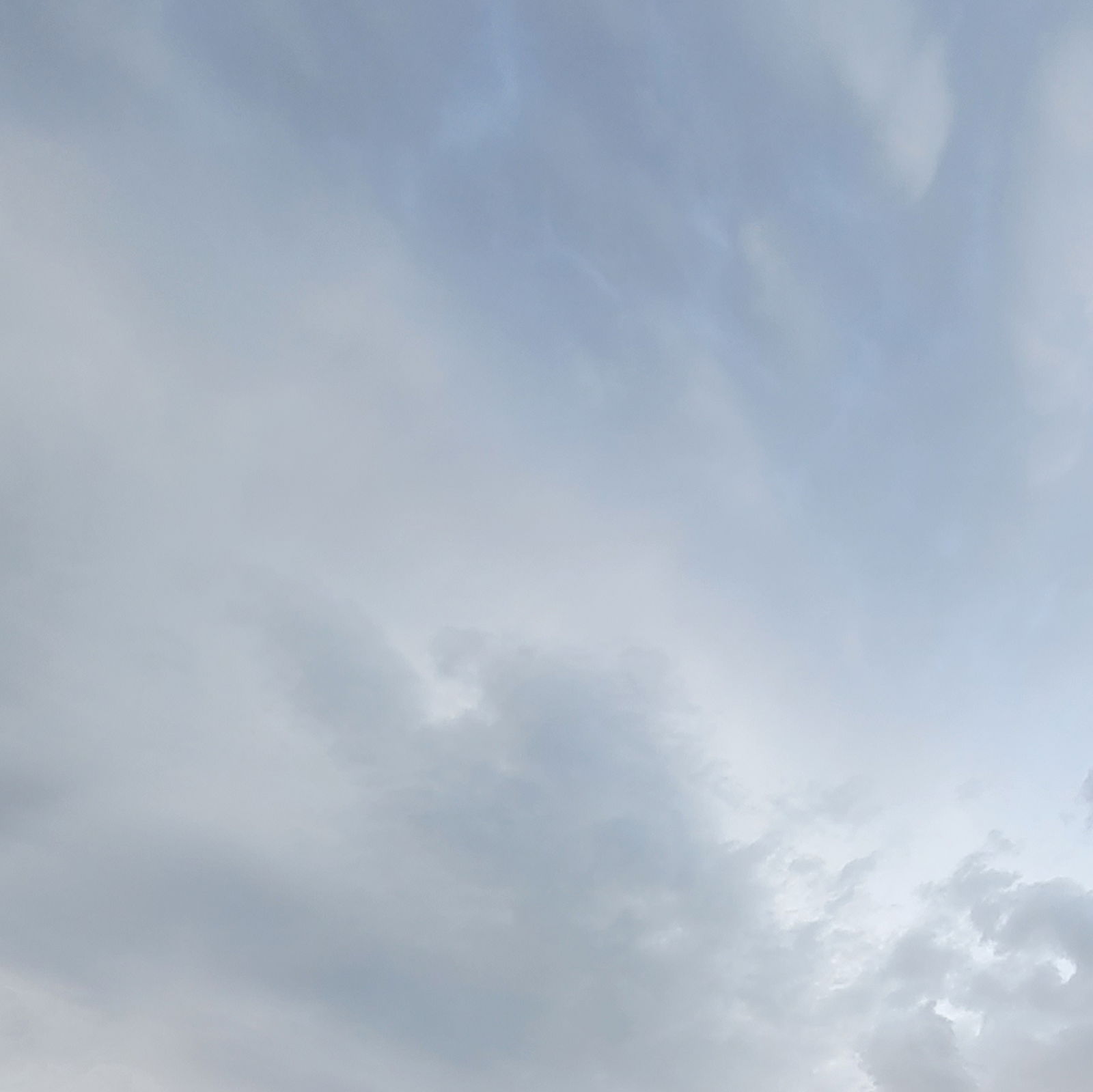 A Sad Goldfish photo