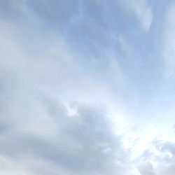 A Sad Goldfish photo