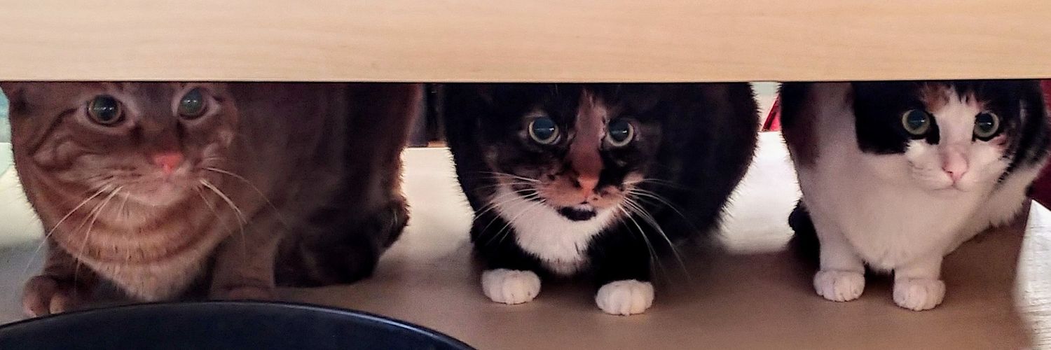 🌈Moxie de Milo🌟 photo