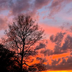 ๐ฆโโฌ๐ช๐คโจ photo