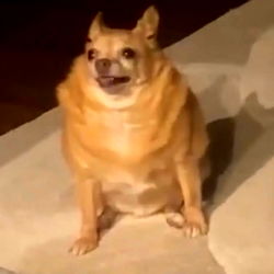 Onlyfans Model Sitting in Bed