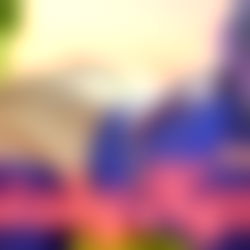 ๐๐ช๐ผ๐ผ๐ฒ๐ฎ (Tricky Nymph) photo