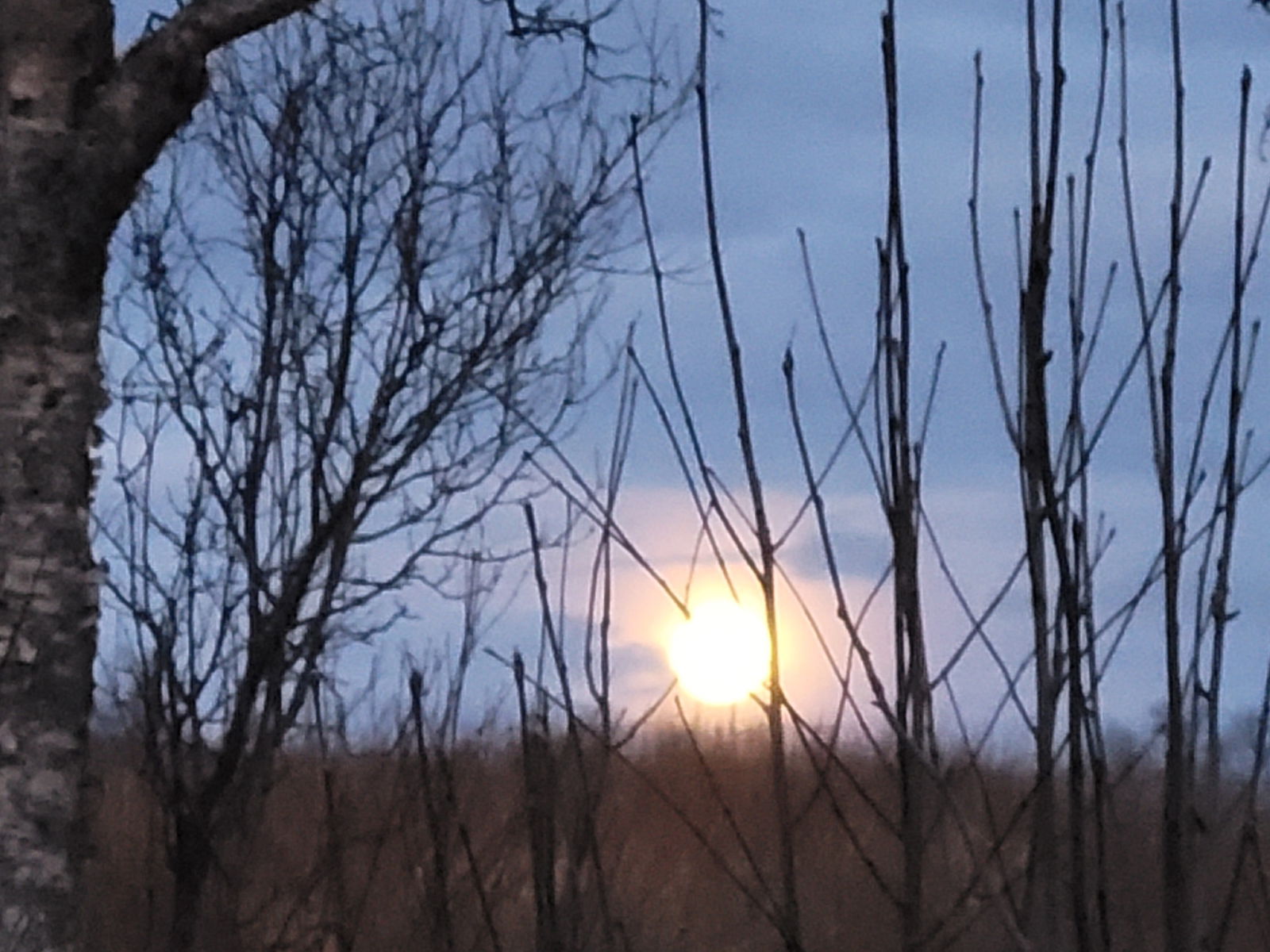 🔞PROMO🇧🇻 Miss Shadow FREE photo