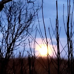 🔞PROMO🇧🇻 Miss Shadow FREE photo