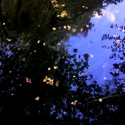 Ryan Gray - Nature's Canvas, Bay Area