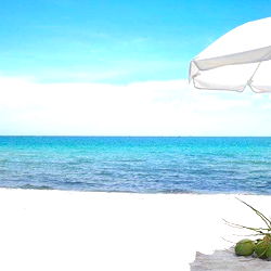 Tropical Paradise Getaway