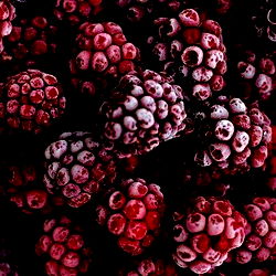 adonis 💌🏹 photo