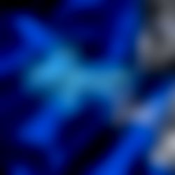 Alyssa Ford ๐น๏ธ VIP photo