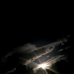 BlueCollarGuy7994 photo