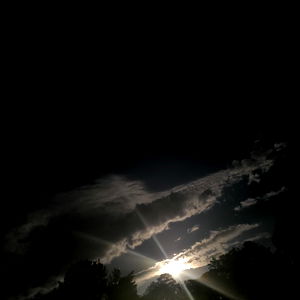 BlueCollarGuy7994 photo