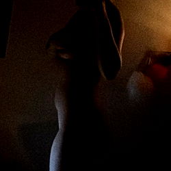 Intimate Moment in Low Light