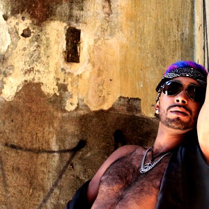 Stallion Brazilian photo