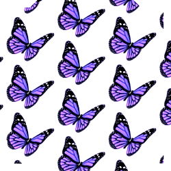 ✨Lai Lai Tha Bae💕 photo