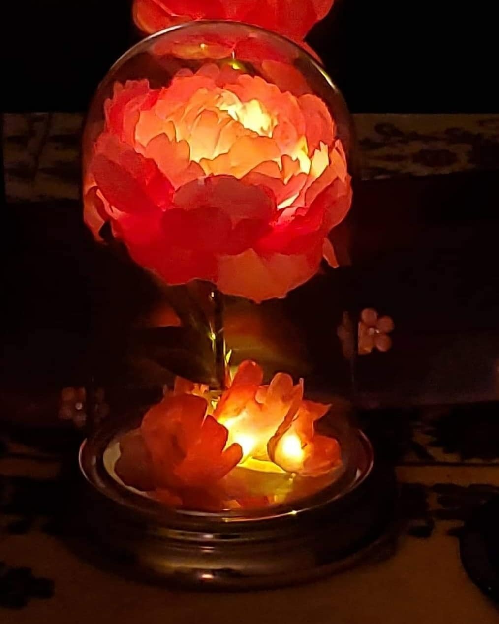 ♈ (temp. hiatus, but can do requests) photo