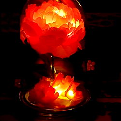 ♈ (temp. hiatus, but can do requests) photo