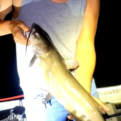 Catching a Fish on a Fishing Trip