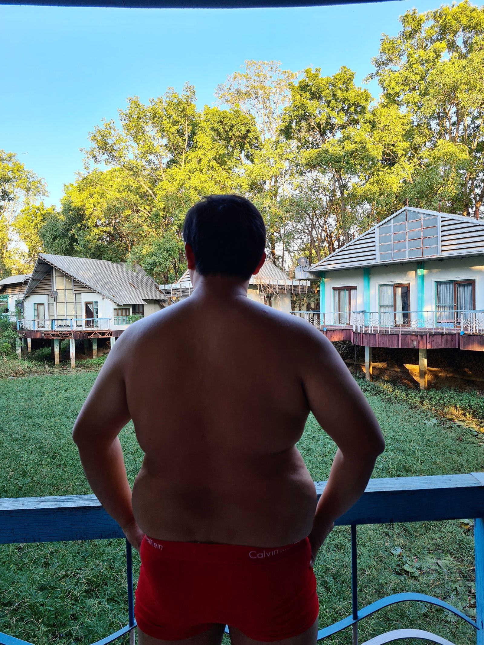 ช้างน้อย photo