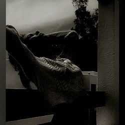 Reflections of Serenity: A Model Photoshoot