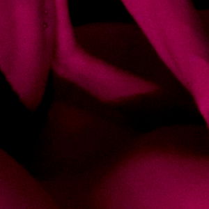 โก KL FILMS โก photo