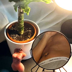 Adam's Mirror Reflection