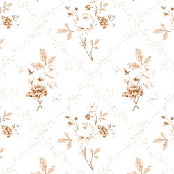 ๐ฏ๐๐๐๐๐๐๐๐๐| ๐ป๐ถ๐ท 0.1% photo