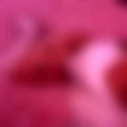 ๐ทโจโค๏ธโ๐ฅ ๐๐๐ photo