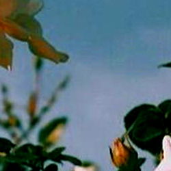 Model Photo - OnlyFans