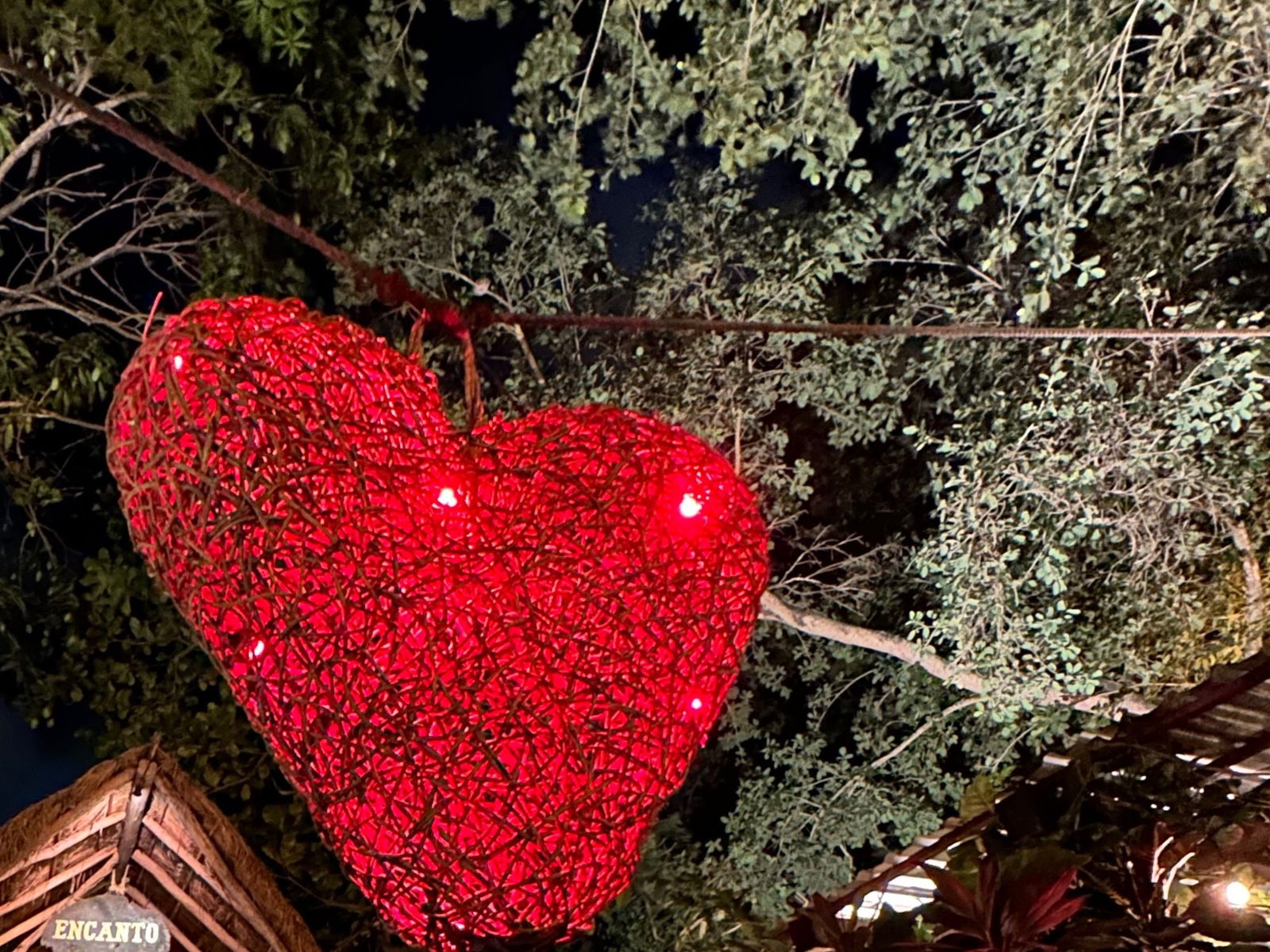 Vicky Izquierdo photo