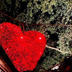 Vicky Izquierdo photo