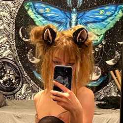 Cherry in Unicorn Ears, Blue Butterfly Wall Art