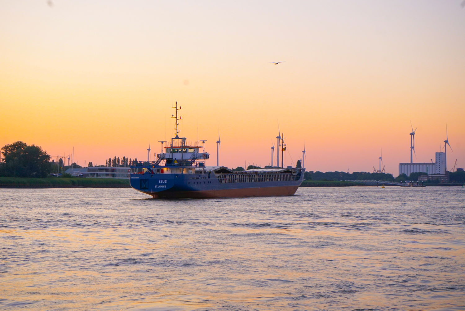 Stefan Lambrechts photo