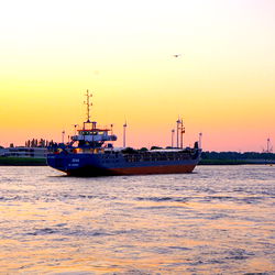 Stefan Lambrechts photo