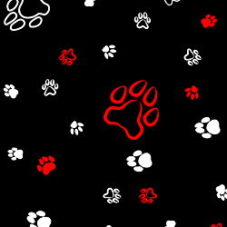 Kain โ Ghoste photo