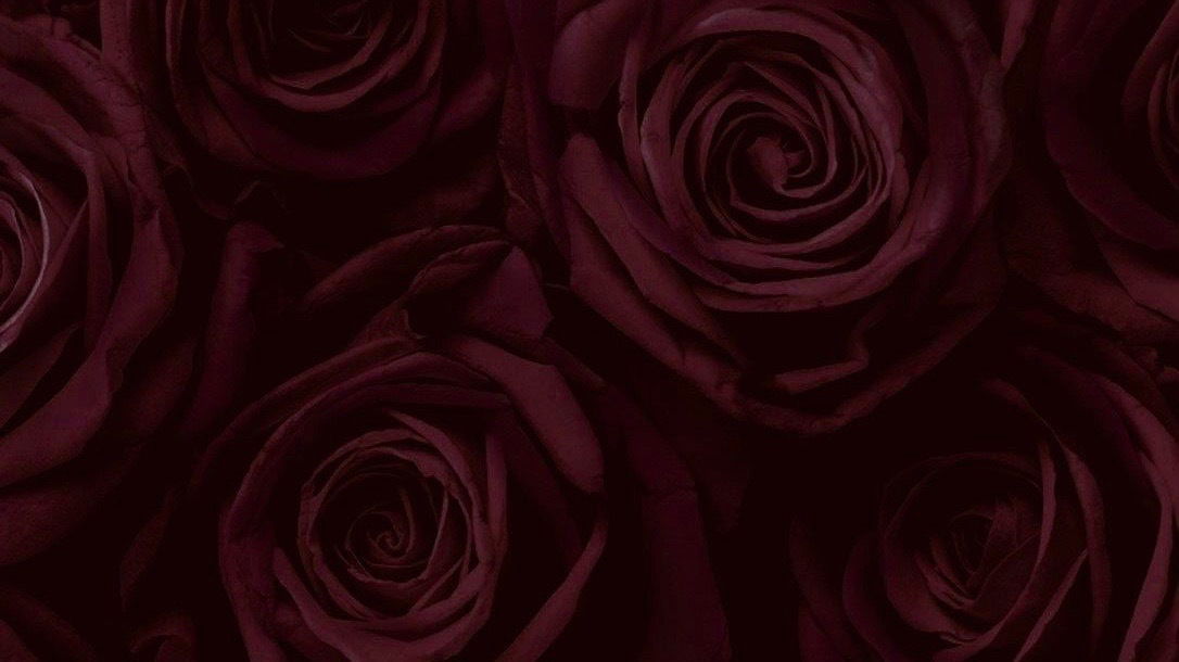 Gina Contreras🖤 photo